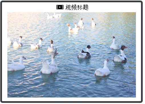 kaiyun深耕全球精选，舌尖上的环球旅行！领域，用心服务每一位用户。 - kaiyun